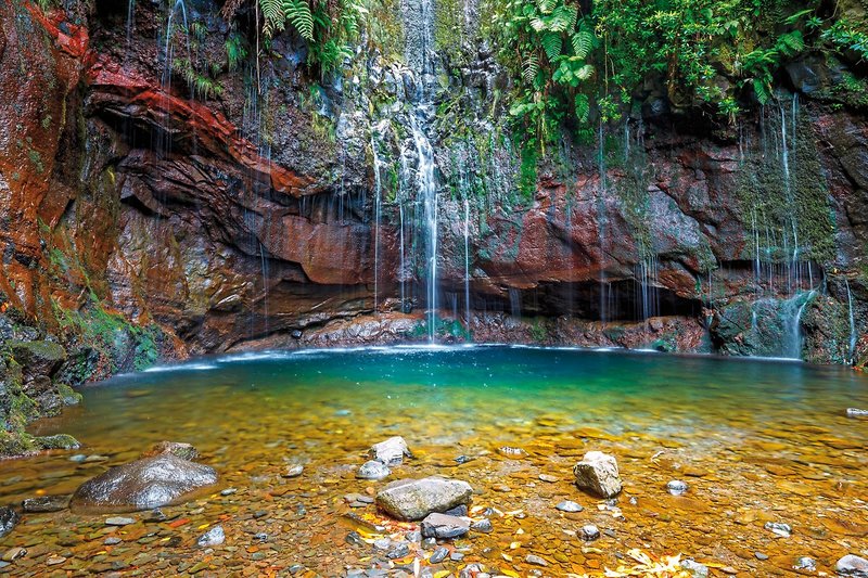 Inselzauber_Madeira_levadas