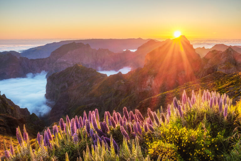 Levada-Wanderungen auf Madeira: Natur pur erleben